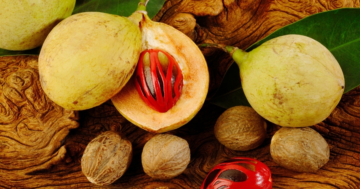 nutmeg-oil-benefits-combating-arthritis-and-inflammation 2