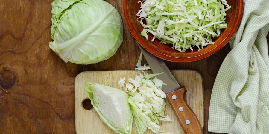 cabbage-healing-feature-photo-blog (899 × 450 px)-1