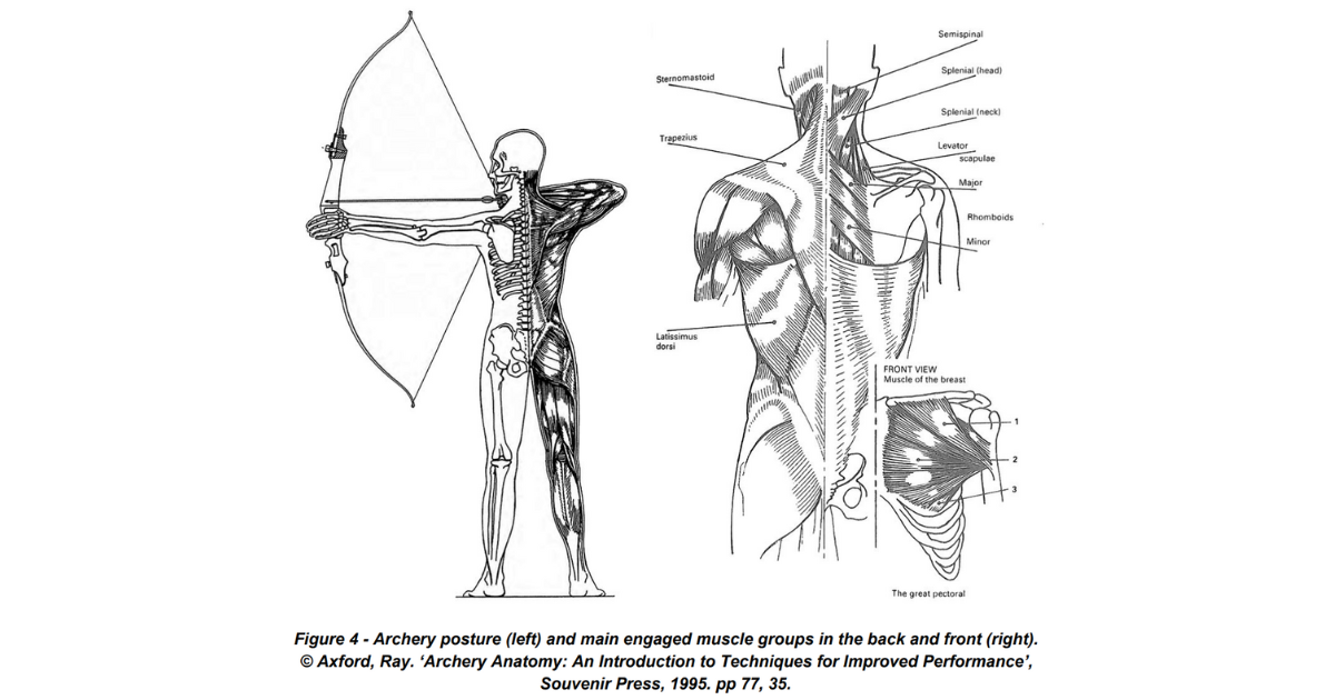 A Bullseye Into The Biopsy: The Health Benefits of Archery | Assuaged