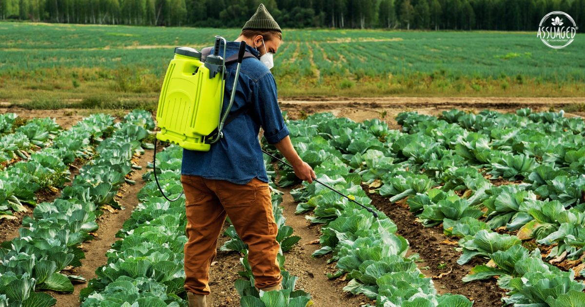 farmer-spraying-crops-with-pesticide