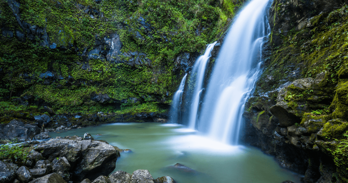 unlocking-the-healing-powers-of-nature-why-its-time-to-step-outside