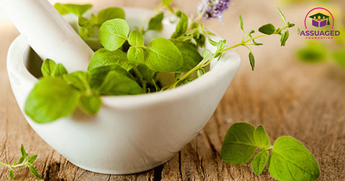 discover-the-power-of-holy-basil-tulsi-a-natural-solution-for-stress-and-respiratory-wellness